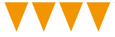 Oranje artikelen Oranje vlaggenlijn 5 meter