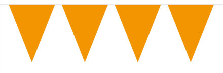 Oranje artikelen Oranje vlaggenlijn - slinger - 5 meter - binnen en buiten - 10 vlaggetjes - Koningsdag/holland