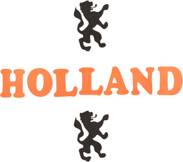 Oranje artikelen Stickers in Holland thema - oranje artikelen - foam - 18 x 23 cm - Nederland versiering