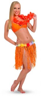 Oranje Hawaii rok