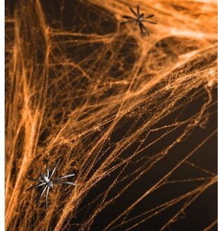 Oranje spinnenweb decoratie met 2 spinnen