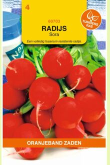 Oranjeband Radijs Sora