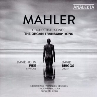 Orchestral Songs (The Organ Transcriptions) - David John Pike - David Briggs