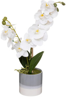 Orchidee bloemen kunstplant in sierlijke grijze bloempot - witte bloemen - H45 cm - Kunstplanten