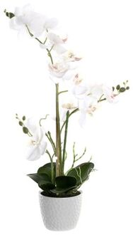 Orchidee bloemen kunstplant in witte bloempot - witte bloemen - H60 cm - Kunstplanten