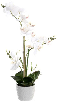 Orchidee bloemen kunstplant in witte bloempot - witte bloemen - H60 cm