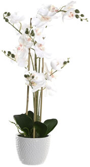 Orchidee bloemen kunstplant in witte bloempot - witte bloemen - H77 cm - Kunstplanten