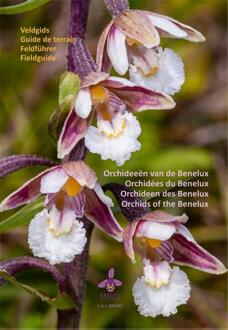 Orchideeën van de Benelux - (ISBN:9789083141107)