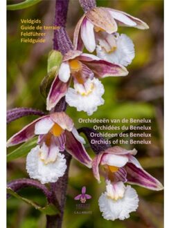 Orchideeën van de Benelux - (ISBN:9789083141107)