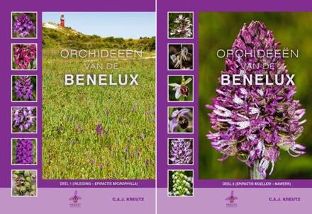 Orchideeën Van De Benelux