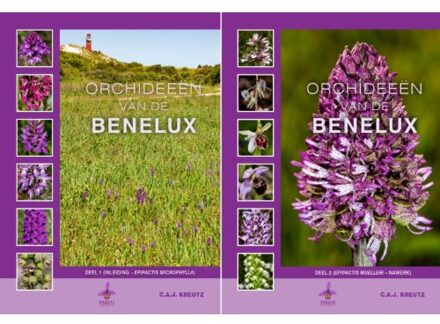 Orchideeën Van De Benelux