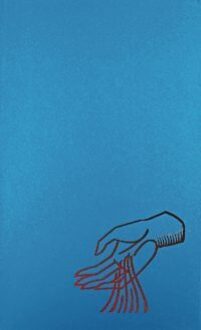 Orde van dienst voor de liturgie van het kinderdoopsel - (ISBN: 9789068589801)