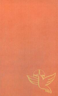 Orde van dienst voor de vormselliturgie -  Icl (ISBN: 9789085288862)