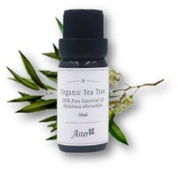 Organic Essential Oil Tea Tree - 10ml