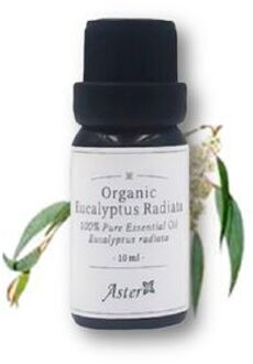 Organic Pure Essential Oil Eucalyptus Radiata - 10ml