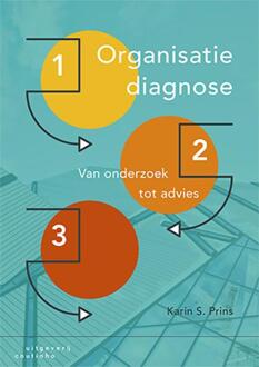 Organisatiediagnose - Boek Karin S. Prins (9046906159)