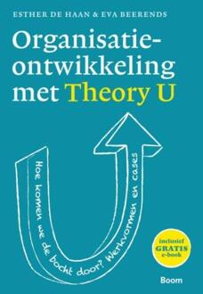 Organisatieontwikkeling met theory u - Boek Esther de Haan (9024400856)