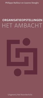 Organisatieopstellingen - het ambacht - Philippe Bailleur, Leanne Steeghs - ebook