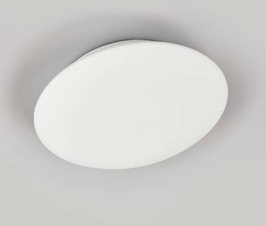 Orion Alba plafondlamp van opaalglas, Ø 25 cm wit zijde mat