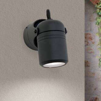 Orion Buitenwandlamp visie, zwenkbaar, 1-lamp antraciet, transparant