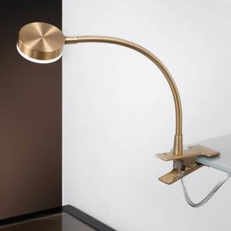Orion LED klemlamp Mira, flexibele arm, goud oud messing, gesatineerd, transparant