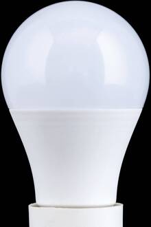 Orion LED lamp E27 A60 5W 500 lm 2.700 K, opaal
