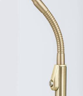 Orion LED vloerlamp Cobra met veranderlijke lichtkleur mat messing