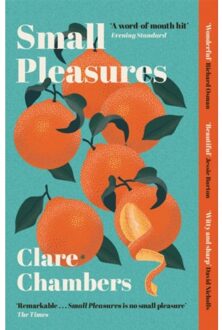 Orion Small Pleasures - Clare Chambers