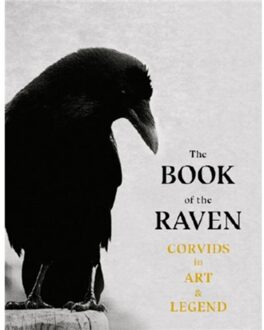 Orion The Book Of The Raven - Angus Hyland