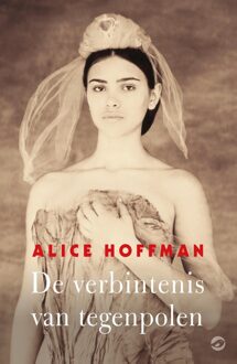 Orlando De verbintenis van tegenpolen - eBook Alice Hoffman (9492086573)