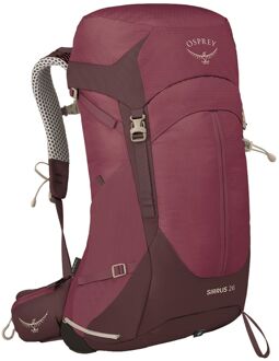 Osprey Sirrus 26 Backpack purple/chiru tan Paars - H 58 x B 30 x D 31 cm