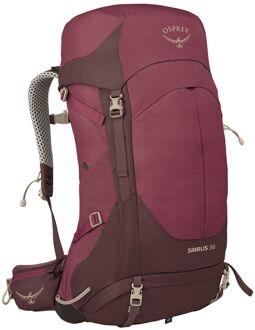 Osprey Sirrus 36 elderberry purple/chiru tan backpack Multicolor - H 66 x B 31 x D 31 cm