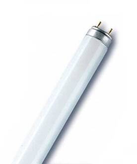 OSRAM Fluora 36W 77 G13 | 120cm