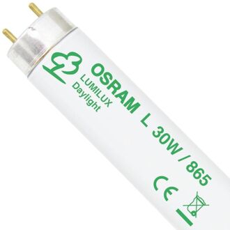 OSRAM L 30W 865 Lumilux | 89.5cm - Daglicht