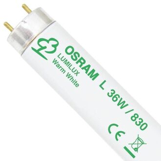 OSRAM L 36 W/830 fluorescente lamp G13 Warm wit A+