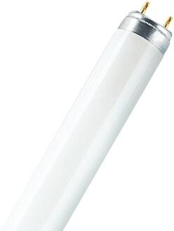 OSRAM L 36W 827 Lumilux Interna | 120cm - Zeer Warm Wit