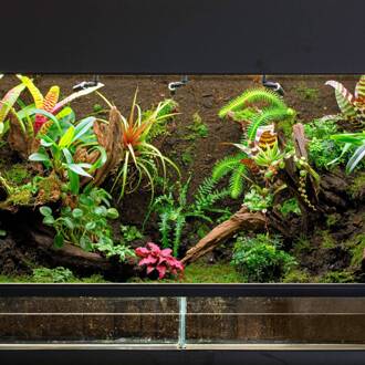 OSRAM LED lamp T8 15W buislamp Bio-Lumilux 965 120cm