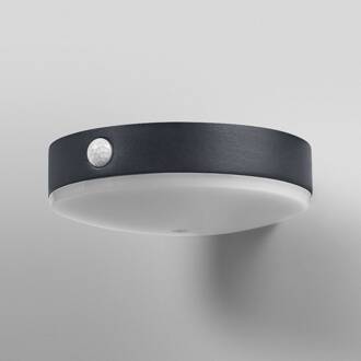 OSRAM LED-sensor LED wandlamp ENDURA STYLE TOSSA Solar 16 cm 830 zwart