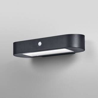 OSRAM LED-sensor wandlamp ENDURA STYLE SOLAR OVAL 34 cm 840 zwart