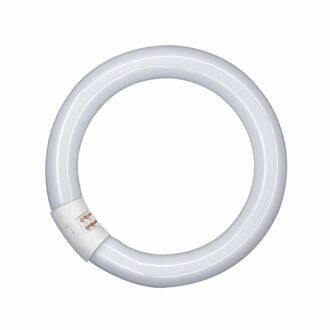 OSRAM Lumilux Cirkel voor Lamp - Interna - 32W