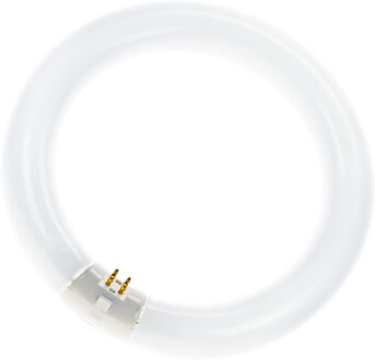 OSRAM Ringrohre T9 C G10q L40/840 014845