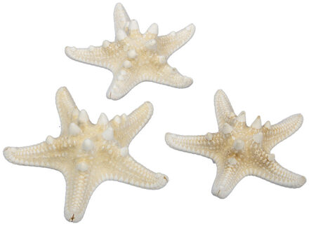 Othmar decorations 16x stuks decoratie zeesterren - naturel wit - 7-10 cm - Hobbydecoratieobject