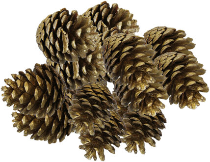 Othmar decorations Decoratie dennenappels - 16x stuks - goud - 6/7 cm