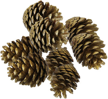 Othmar decorations Decoratie dennenappels - 8x st - goud - 6/7 cm - herfstdecoratie - kerstversiering Goudkleurig