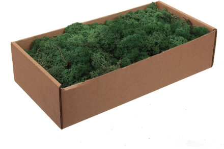 Othmar decorations Decoratie/hobby mos - donkergroen - 500 gram