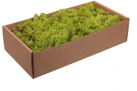 Othmar decorations Decoratie/hobby mos - lichtgroen - 500 gram