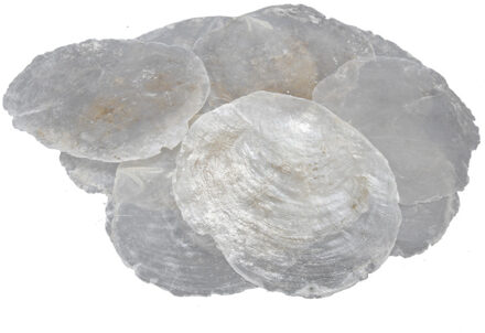 Othmar decorations Decoratie/hobby oester schelpen - 1 kg - naturel Parelmoer