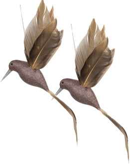 Othmar decorations Decoratie Kolibrie vogels op clip - 2x st - champagne - 22 x 4,5 cm - kunststof