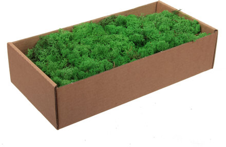Othmar decorations Decoratie mos - groen - naturel - 500 gram - Finlands moss - hobby materiaal