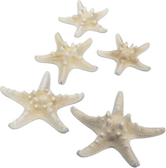 Othmar decorations Decoratie zeesterren mix - 28x stuks - 7-15 cm - Hobbydecoratieobject Wit